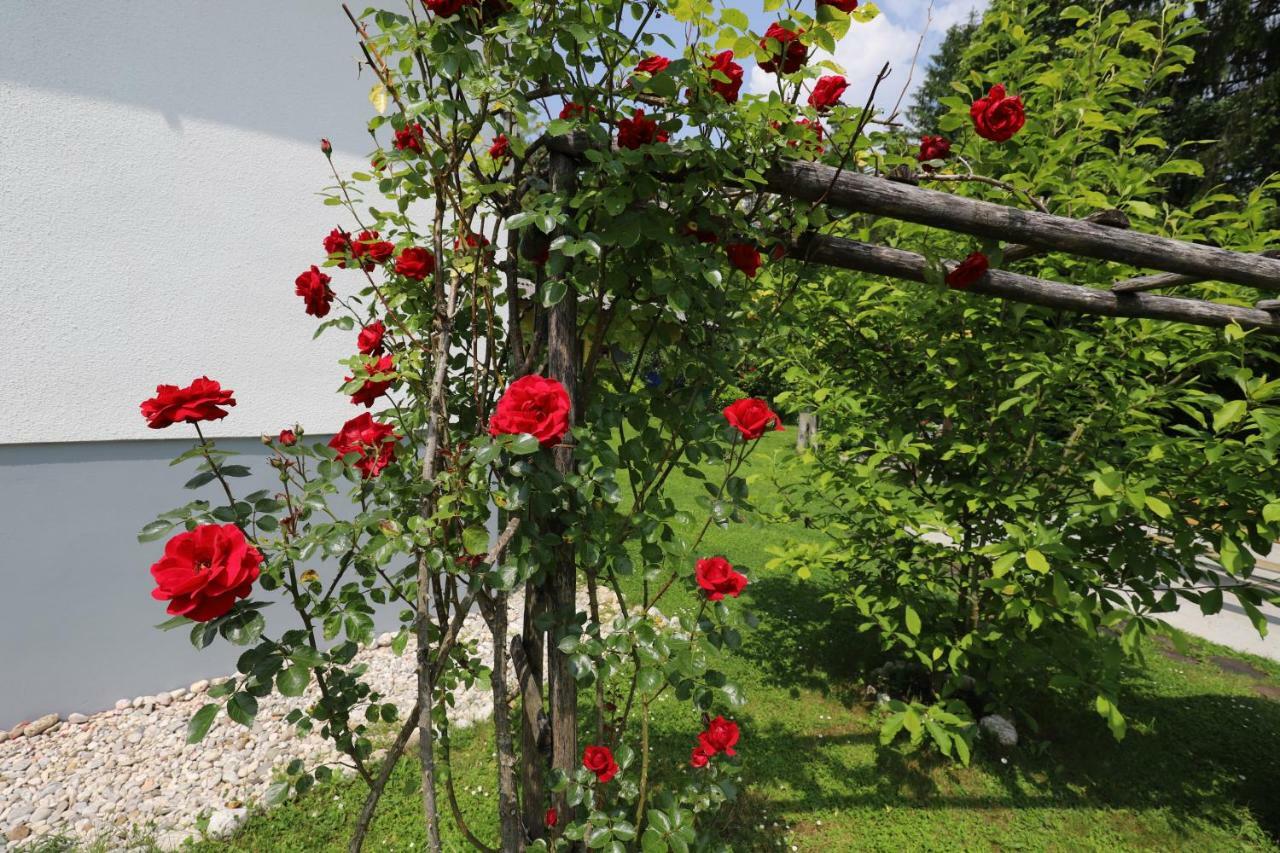 Adventure Cottage With Pool And Big Garden ブレッド エクステリア 写真